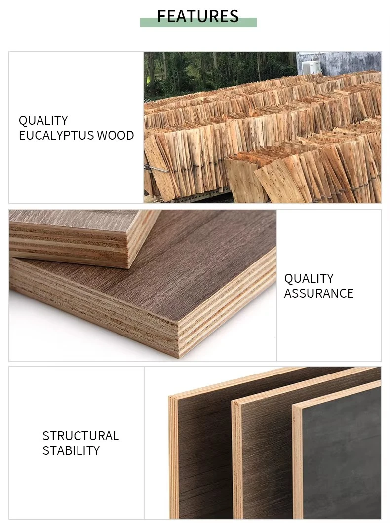 product-790-1060 product-790-1060